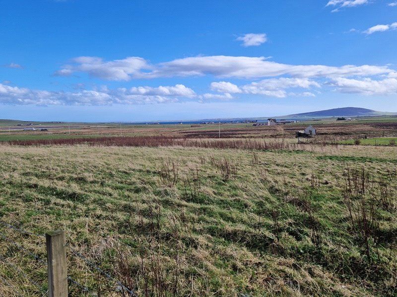 Property photo 1 of 5 Main