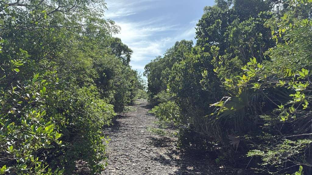 Property photo 3 of 7