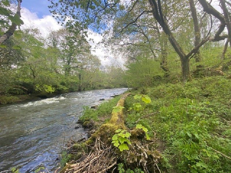 Additional image 7 of Land for saleCefn Yr Allt, Aberdulais, Neath, Neath Port Talbot. SA10