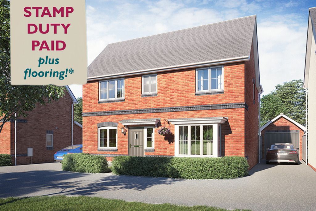 Property photo 1 of 11 Vdsw CH Igrove Bowmont Hero (1)
