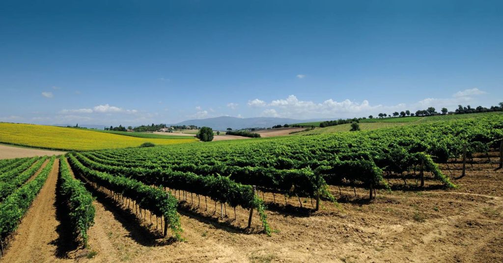 Property photo 1 of 1