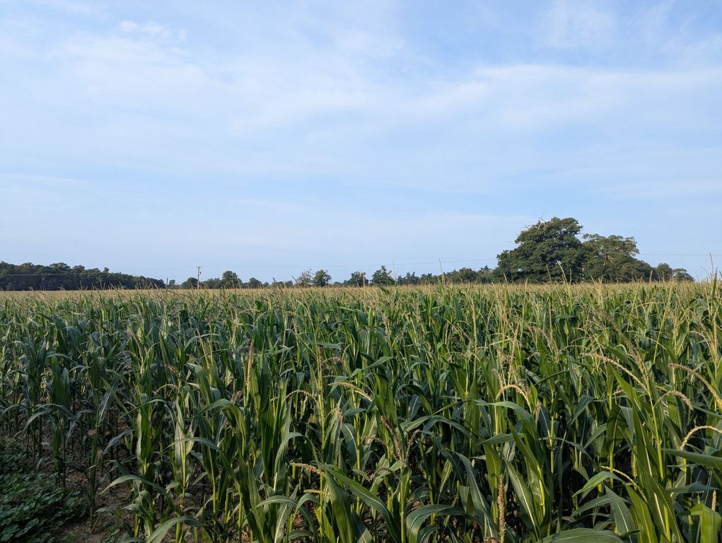 Property photo 1 of 2 Picture No. 01