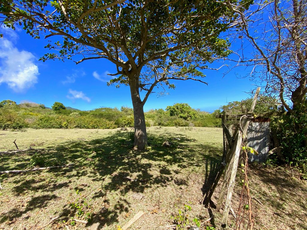 Property photo 1 of 4