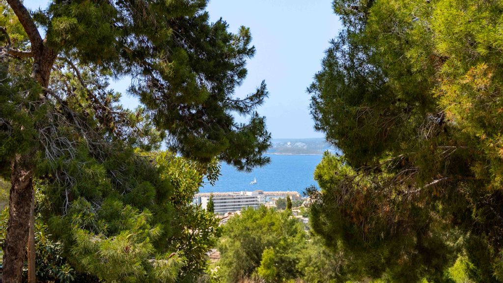 Property photo 2 of 23 P 81700 06.06.2025_002.Jpg