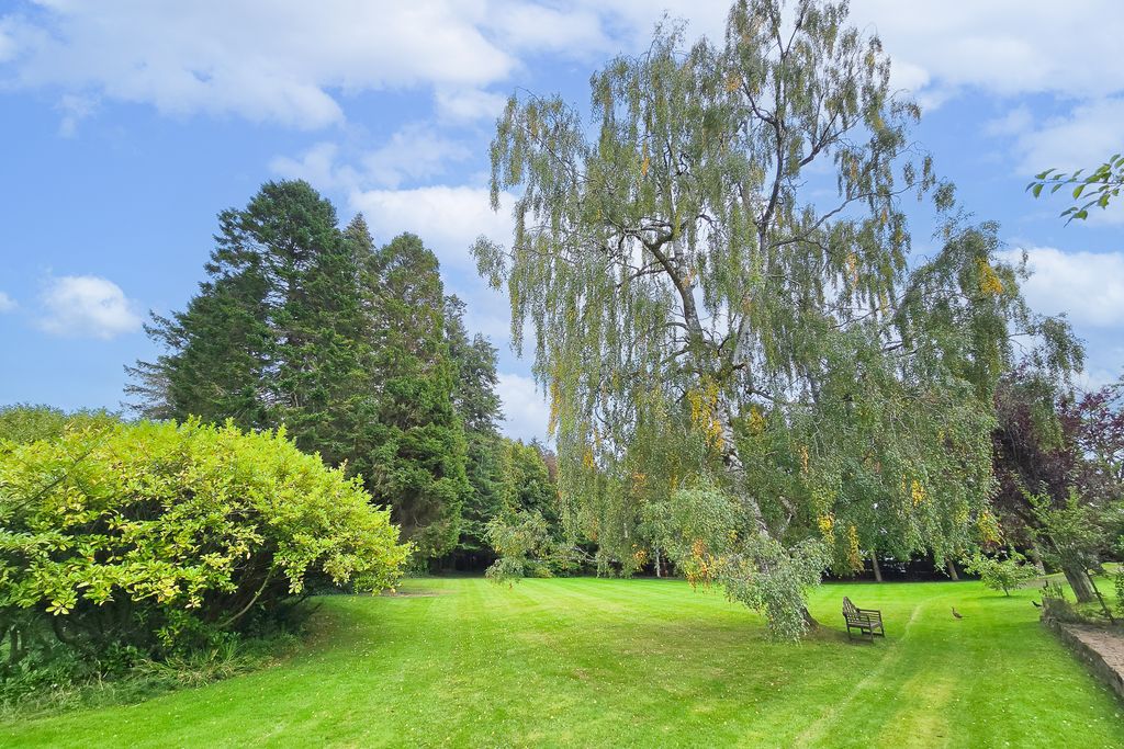 Property photo 3 of 24 20260913_142019-2
