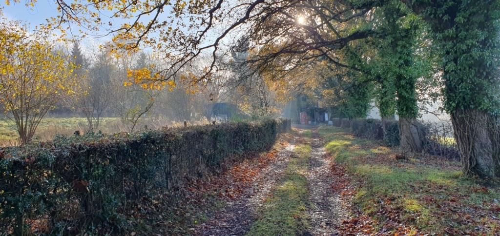 Property photo 2 of 11