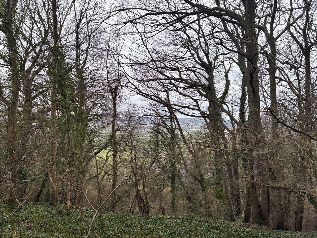 Property photo 2 of 13 Picture No. 01