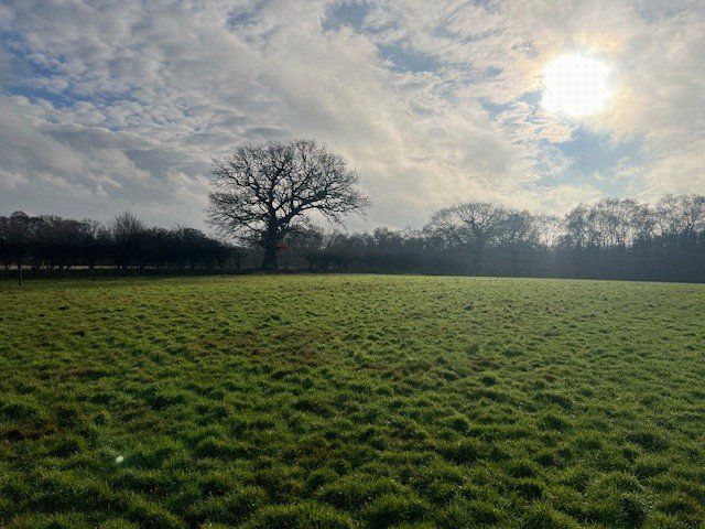 Property photo 1 of 11 Picture No. 10