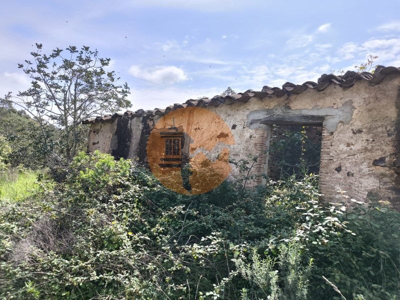 Property photo 1 of 62