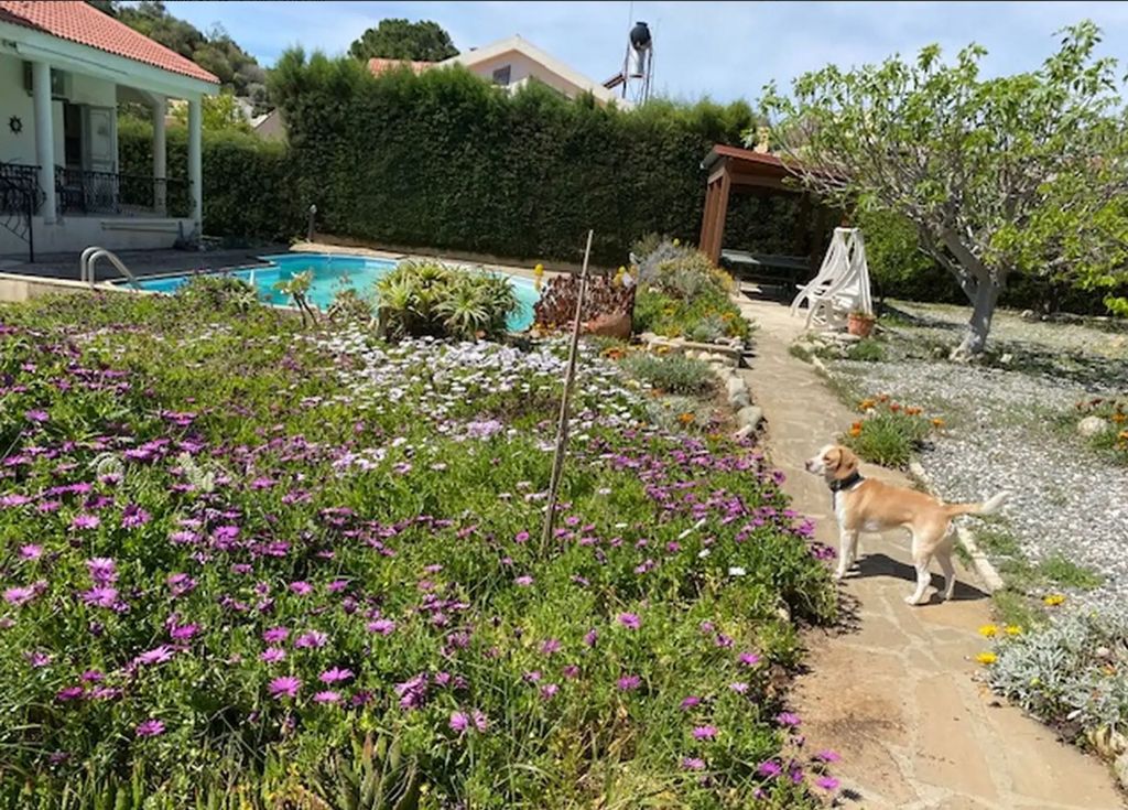 Property photo 3 of 13