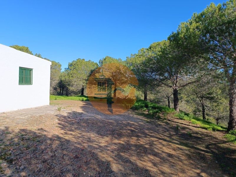 Property photo 1 of 73