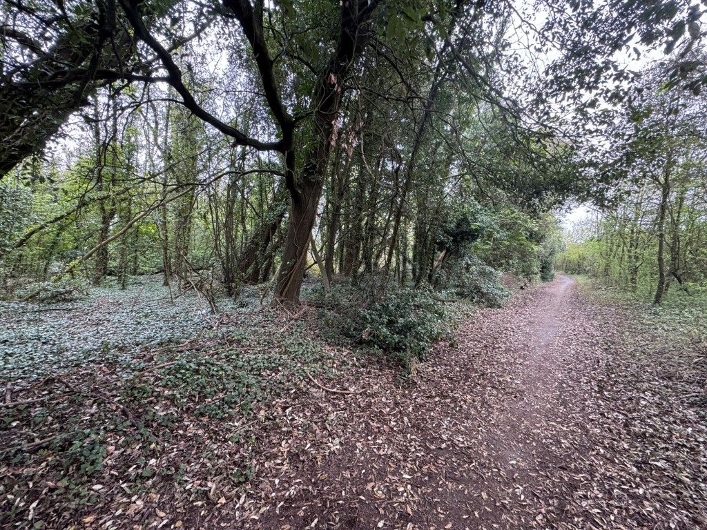 Property photo 3 of 4 Woodland 3