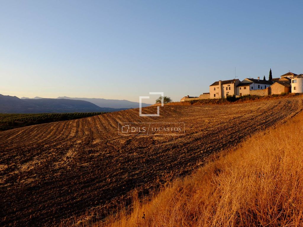 Property photo 3 of 32