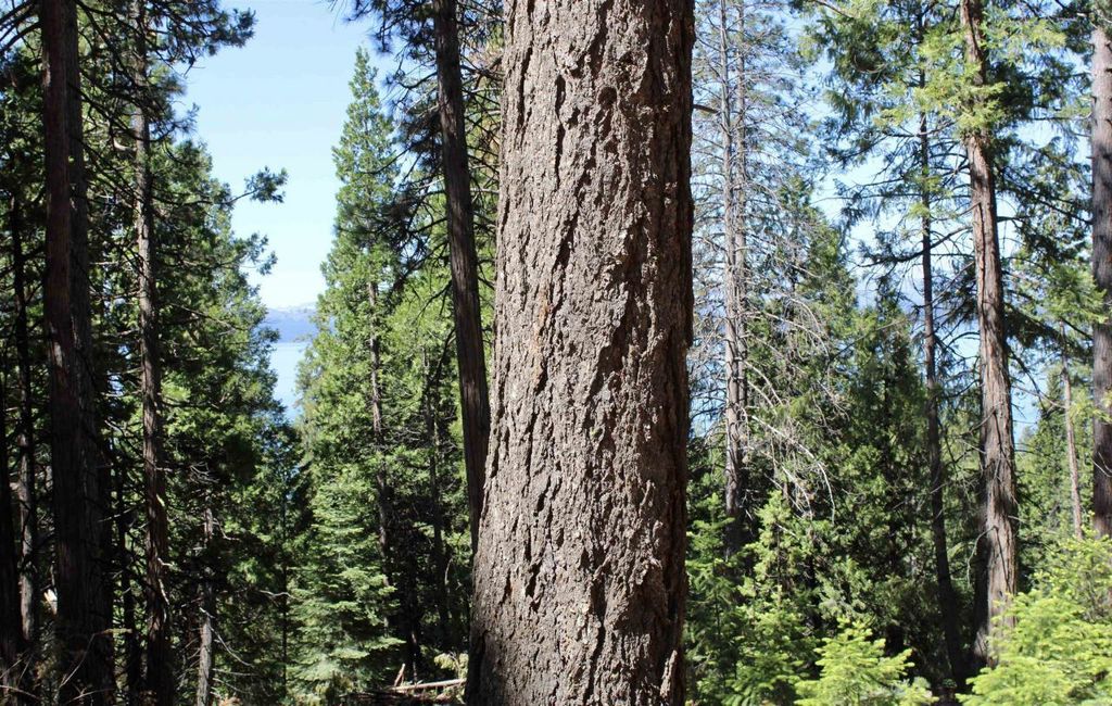 Property photo 2 of 23 <Alttext/>