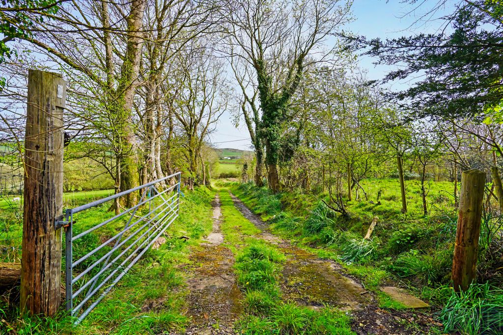 Additional image 10 of 4 bed farm for saleTyddyn Farm, Rhydyclafdy - 22Ac LL53