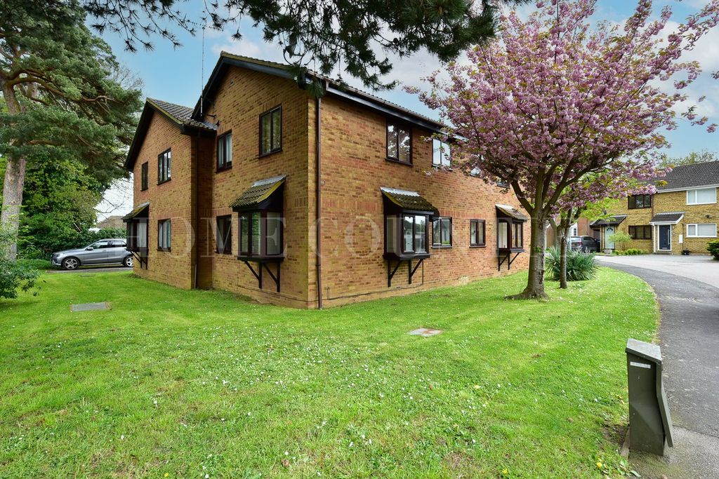 Property photo 1 of 12