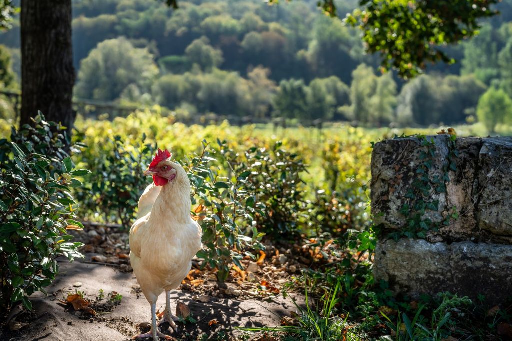 Property photo 3 of 16