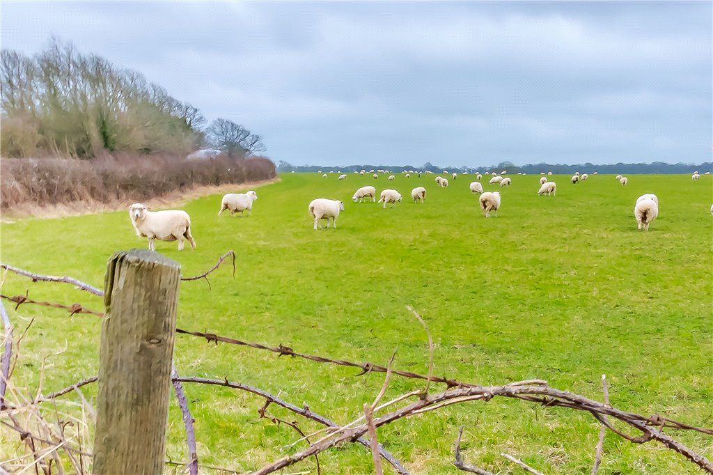 Property photo 3 of 19 Picture No. 11