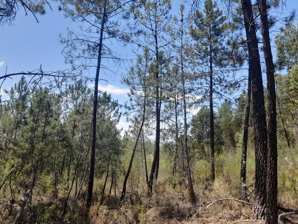 Property photo 3 of 4