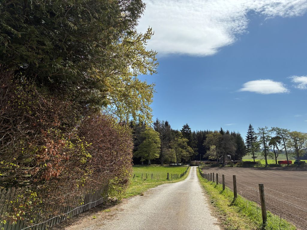 Land for saleSauchen AB51 photo 5