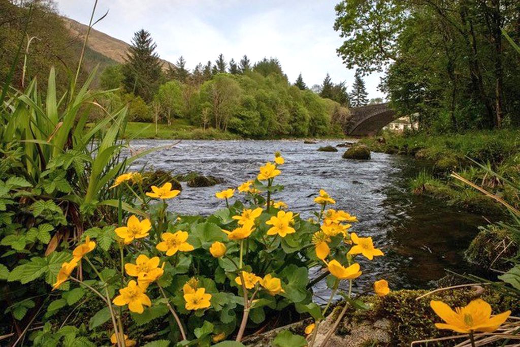 Property photo 2 of 42