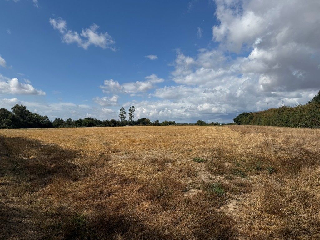 Property photo 3 of 8 View Of The Land 2