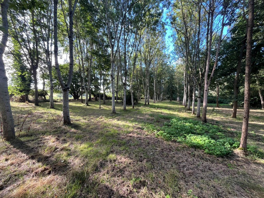 Property photo 1 of 6 Web Img_3365