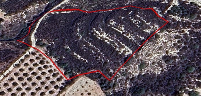 Property photo 1 of 1