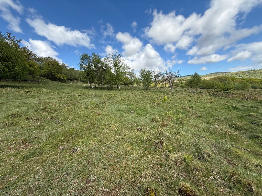 Additional image 10 of Farm for saleYnyswen, Penycae SA9