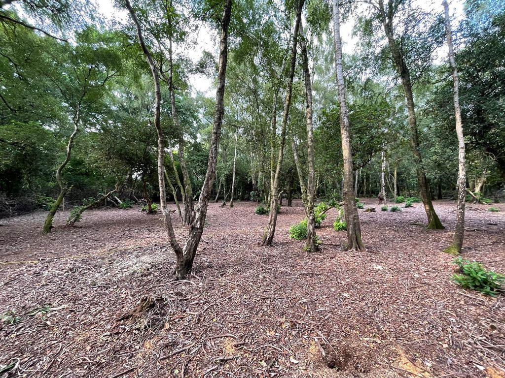 Property photo 1 of 8