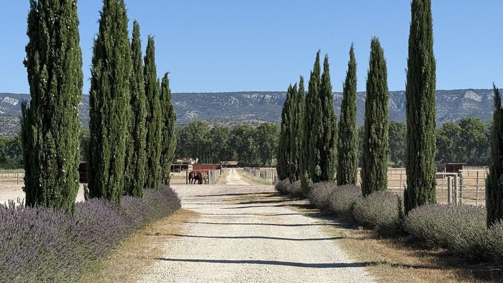 Property photo 1 of 15 Beautiful Training Center In Provence