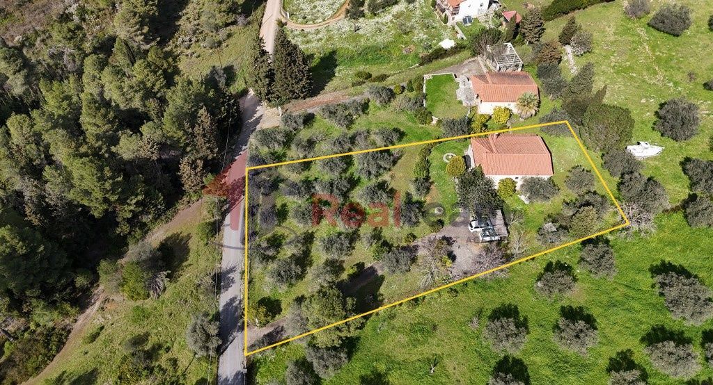 Property photo 3 of 28