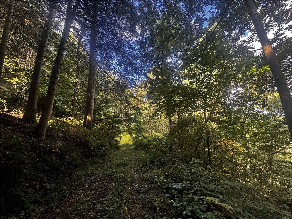 Property photo 3 of 19 Picture No. 06