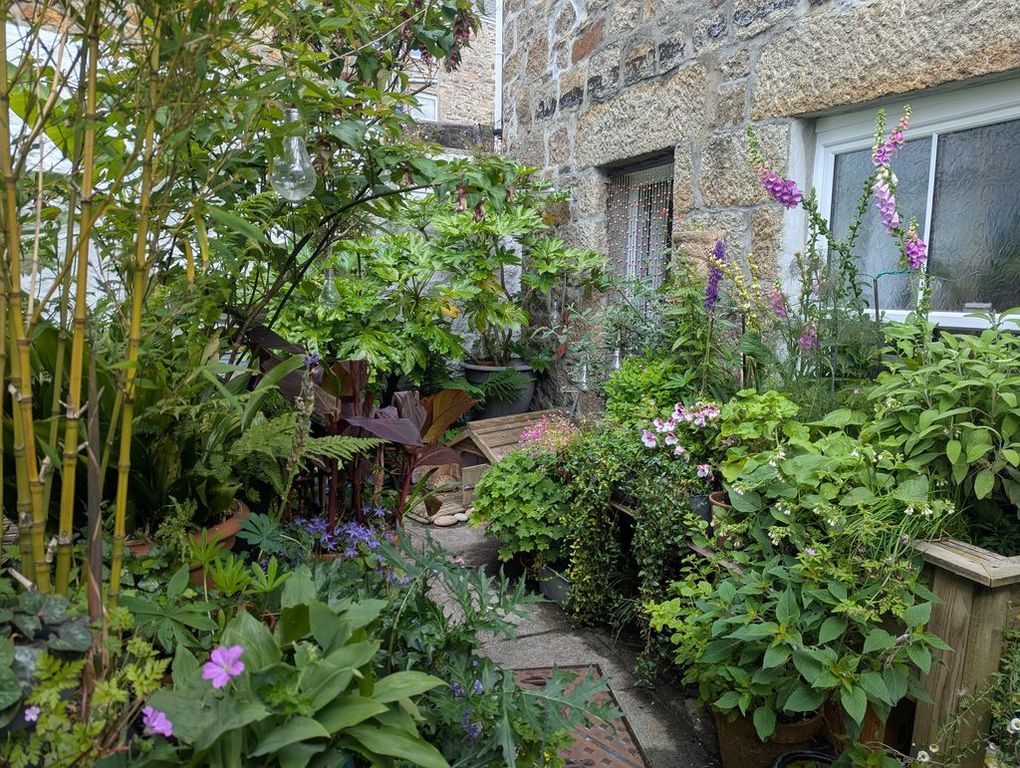 Property photo 1 of 10 Courtyard