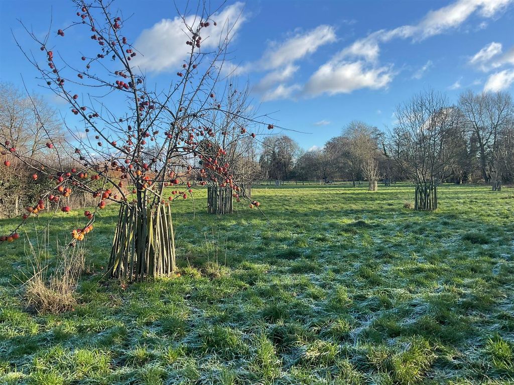 Property photo 1 of 30 Photo-2026-01-05-13-23-12 3.Jpg