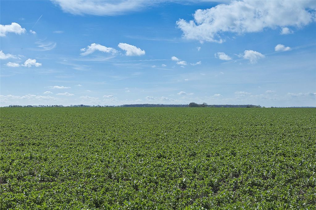Additional image 8 of Land for saleGreat Gransden Farms, Great Gransden, Sandy, Cambridgeshire SG19