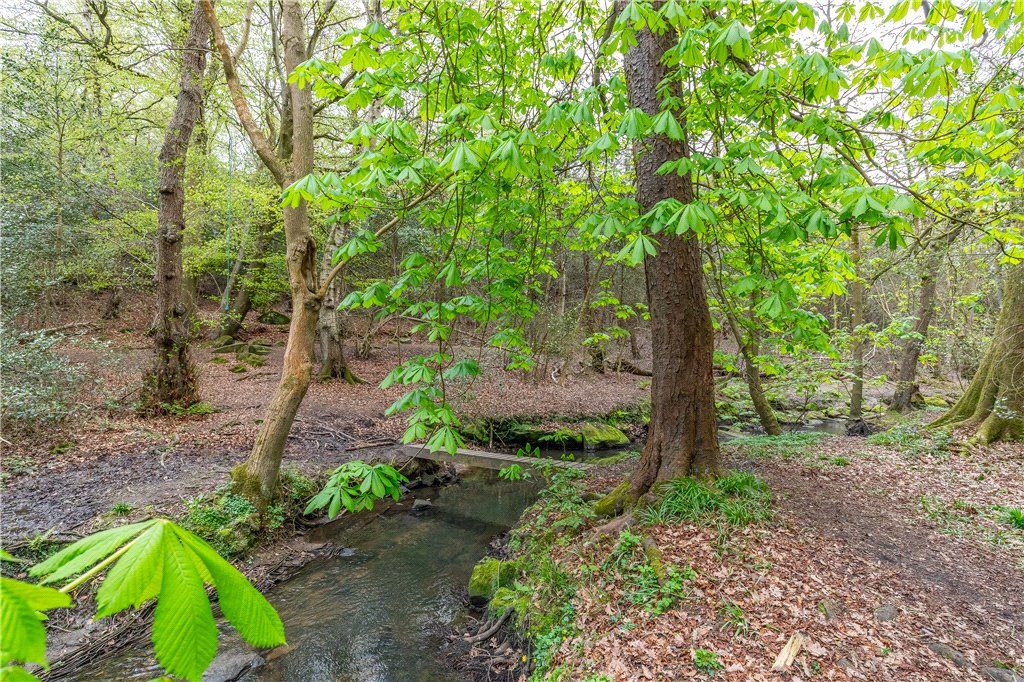 Property photo 3 of 27 Adjacant Adel Woods