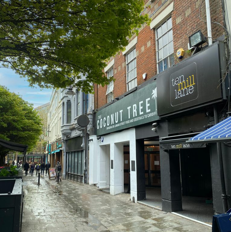 Property photo 2 of 3 Coconut Tree.Png