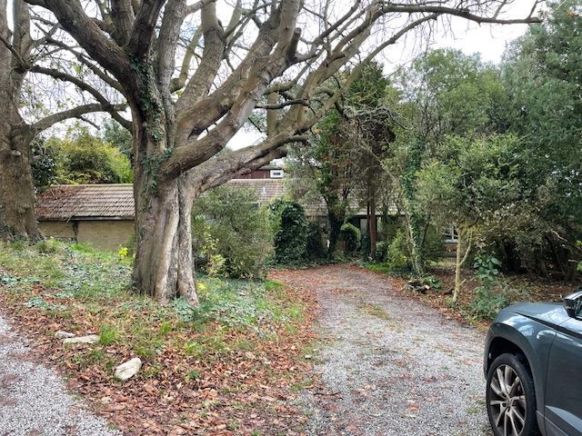 Property photo 3 of 18 Front Drive To House