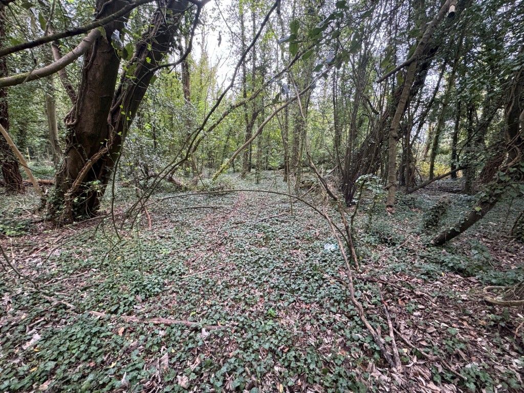 Property photo 2 of 4 Woodland 2