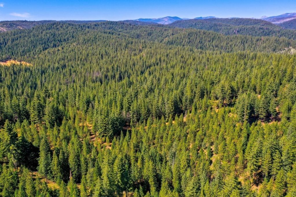 Property photo 3 of 21 <Alttext/>