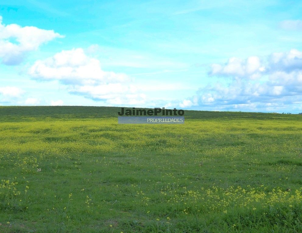 Property photo 1 of 3