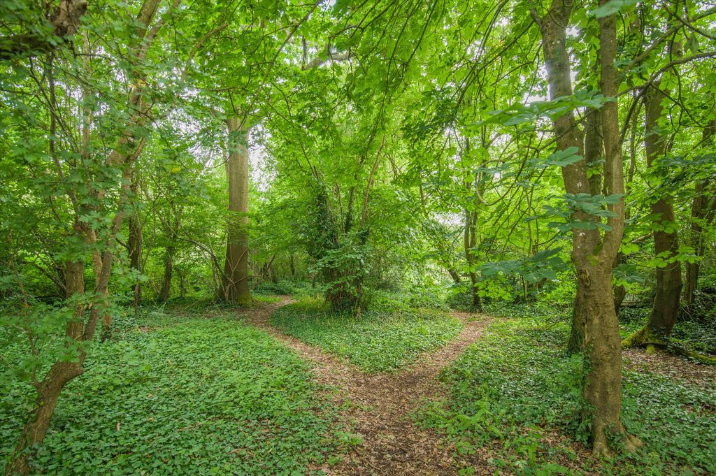 Property photo 3 of 24 Image