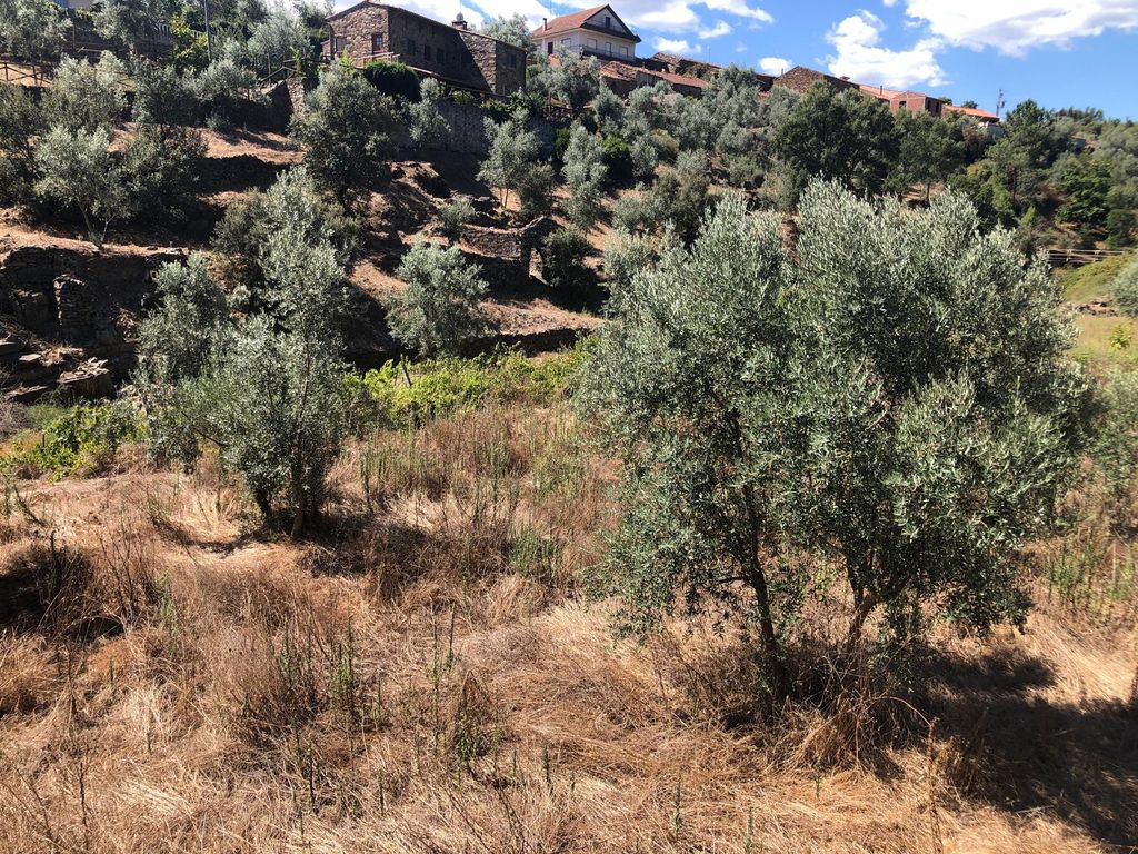 Property photo 1 of 3