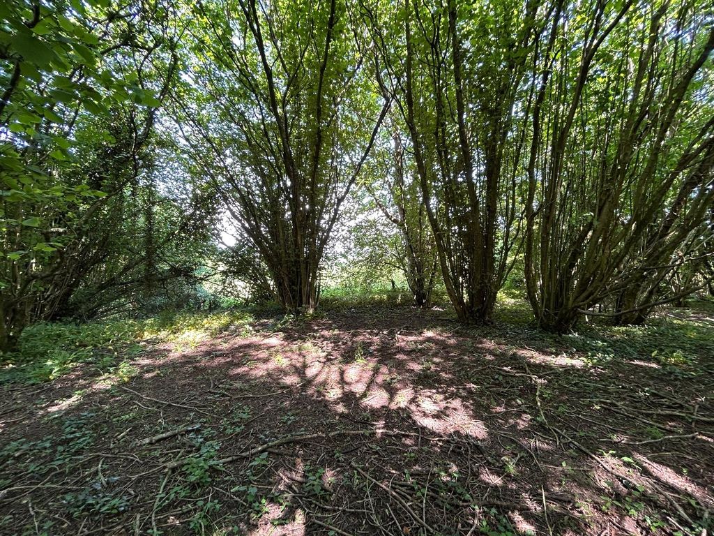 Property photo 2 of 6 Picture No. 06