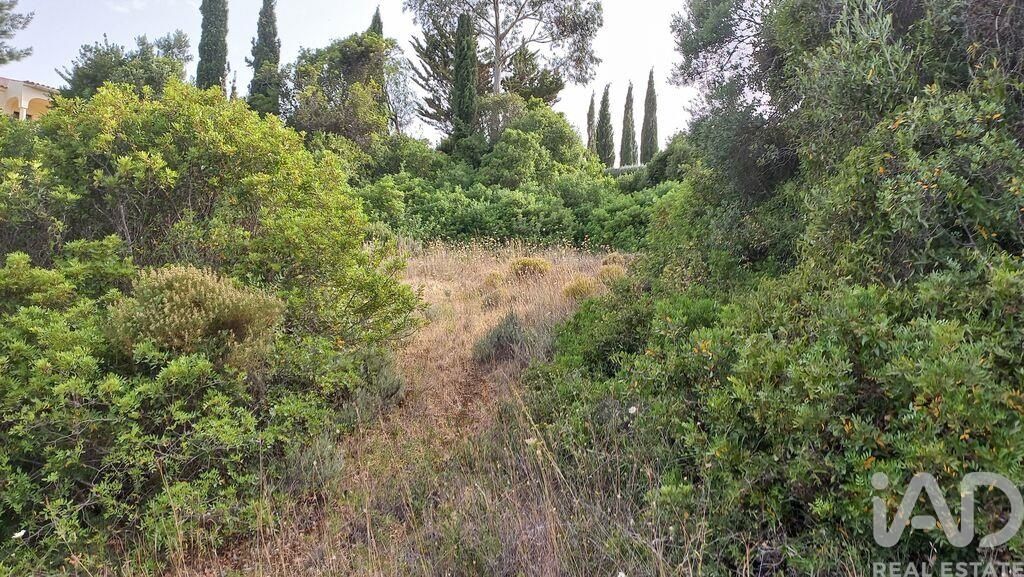 Property photo 2 of 3