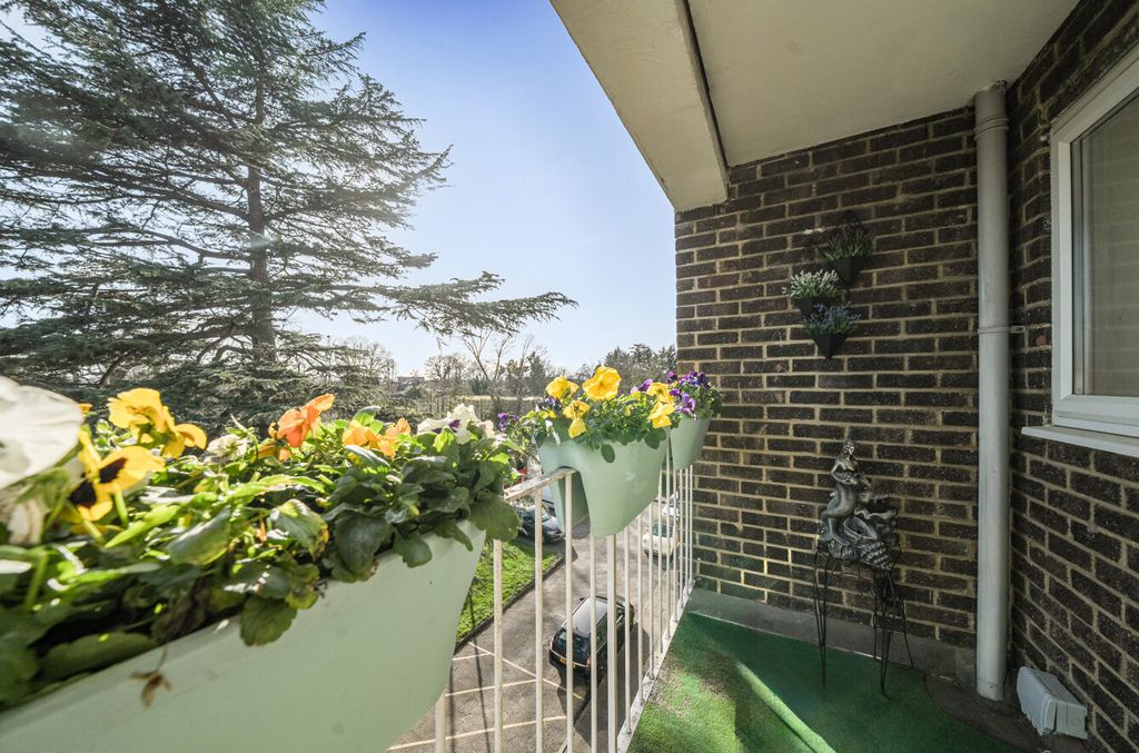 Property photo 2 of 11 1415736-19-699F42...