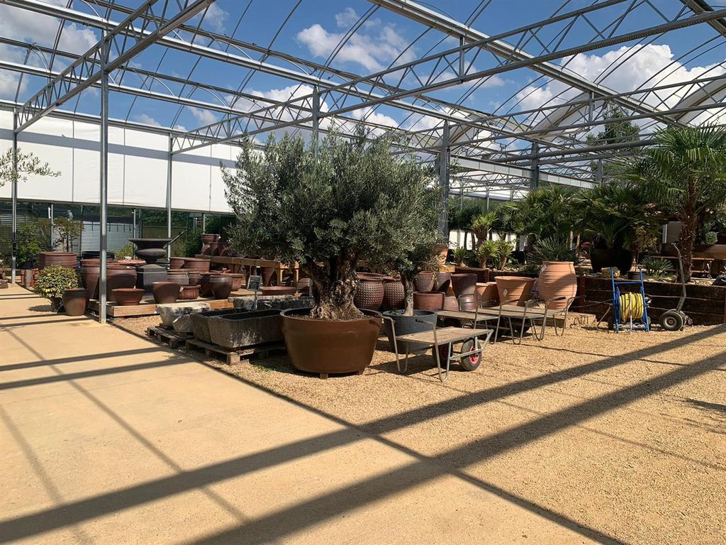 Property photo 2 of 10 Photo-2023-08-17-12-36-09 (2).Jpg