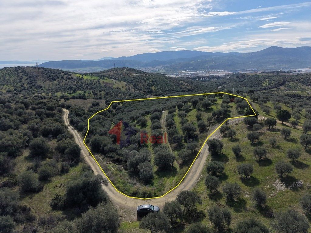 Property photo 3 of 28