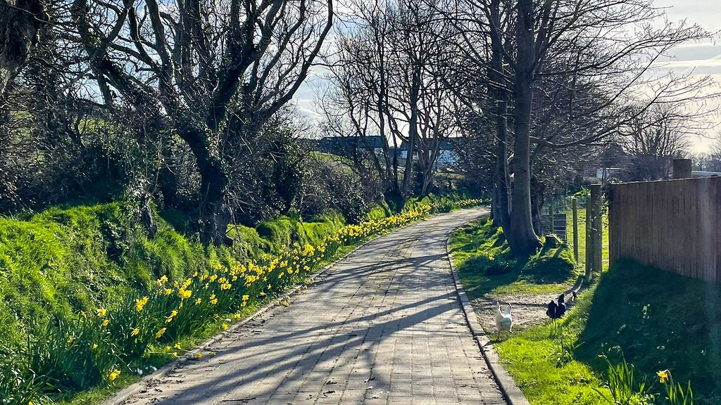 Additional image 27 of 2 bed flat to rentAnnex Apartment, High Tilt, Douglas Road, Kirk Michael IM6